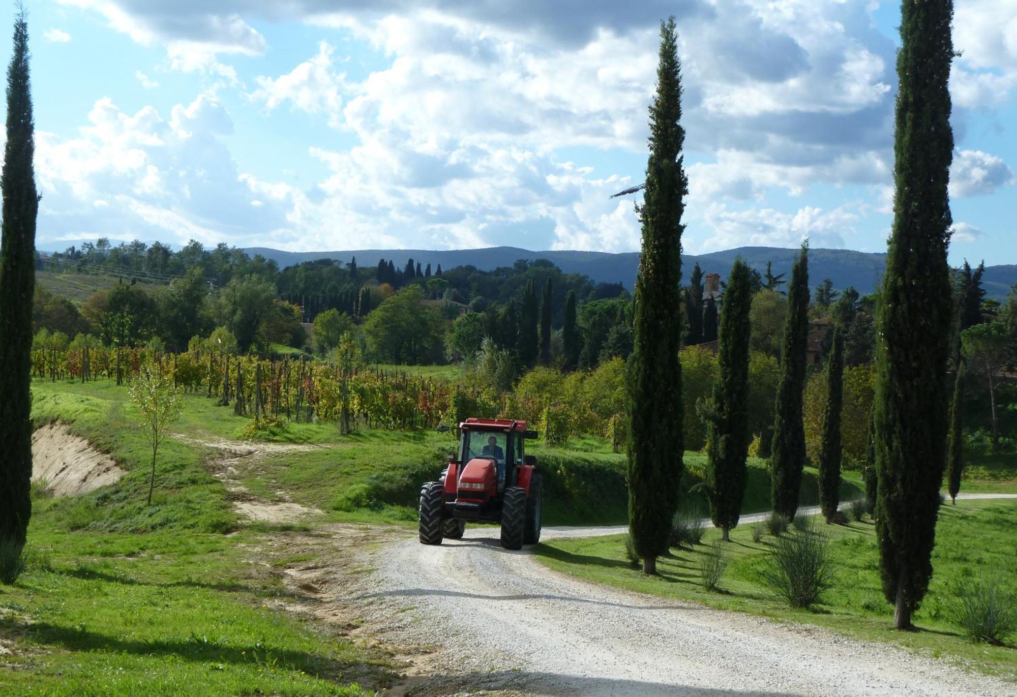 Agriturismo La Grotta Di Montecchino Siena Exteriör bild